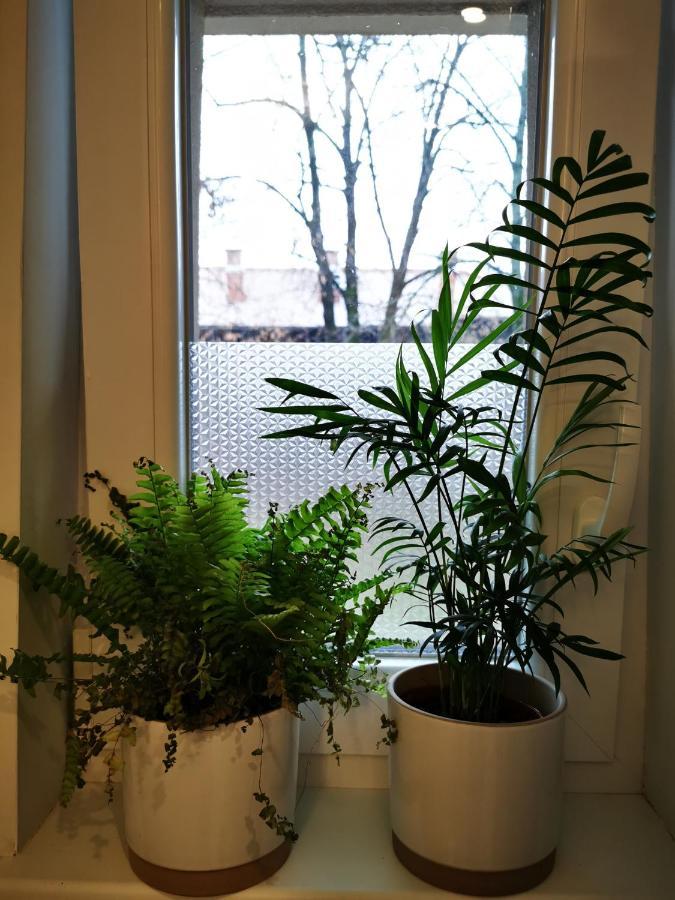 Angela Apartment Zagreb Dış mekan fotoğraf